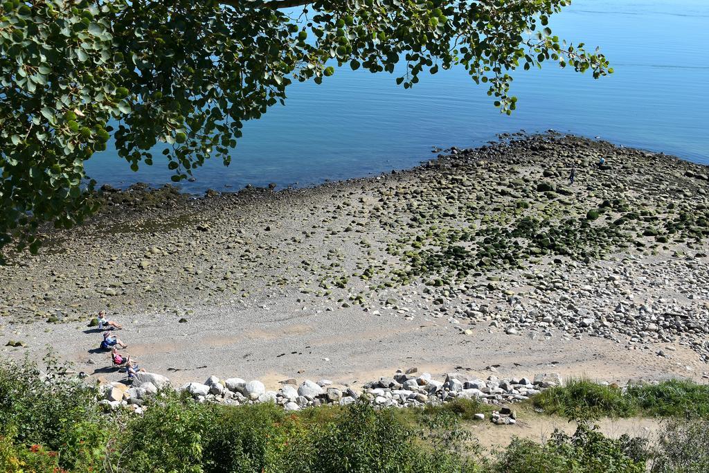 Motel Et Chalets Bo-Fleuve Evangeline Saint-Siméon Εξωτερικό φωτογραφία