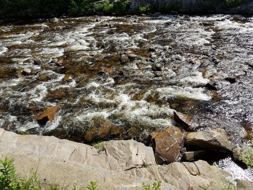 Motel Et Chalets Bo-Fleuve Evangeline Saint-Siméon Εξωτερικό φωτογραφία